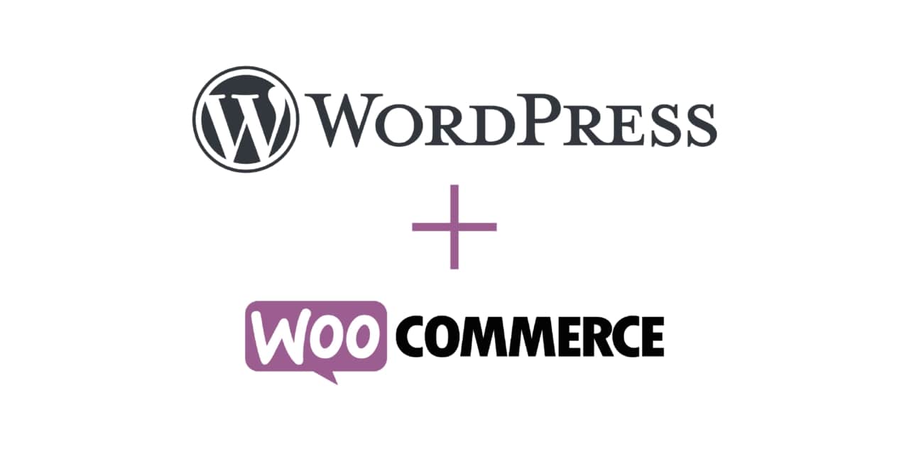 Webmaster WordPress Paris